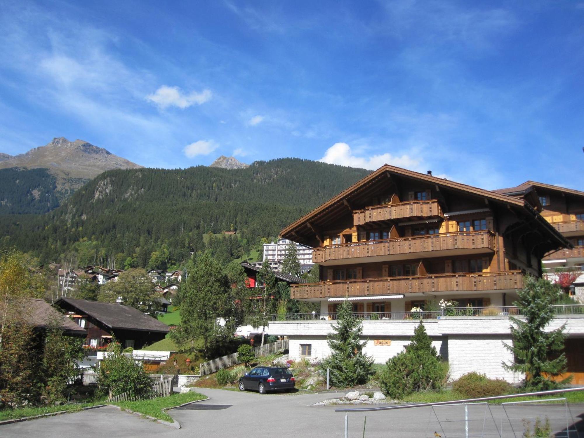 Mom - Alpine Boutique Apartments, Chalet Fagus, Terrace Studio Гриндельвальд Экстерьер фото